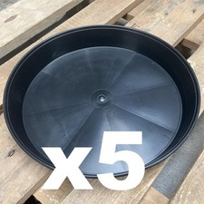 Black plastic plant for sale  WELLINGBOROUGH
