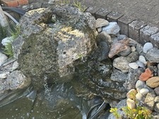 Quellstein garten teich gebraucht kaufen  Runkel