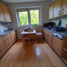 Einbauküche elektrogeräten g gebraucht kaufen  Luckau