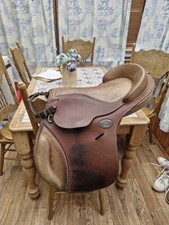 Guy cantin pony for sale  ENNISKILLEN