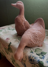 Niedliches enten pärchen gebraucht kaufen  Reinheim