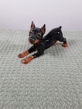 doberman pinscher for sale  Hilton