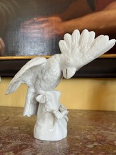 Kakadu stamm sitzend gebraucht kaufen  Traunstein