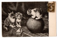 Cpa chats boule d'occasion  Marseille VIII