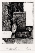 Soffiantino giacomo insetti usato  Acqui Terme