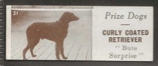 Sharps prize dogs for sale  COLNE