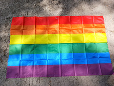 Rainbow flag. vibrant for sale  Lakeland