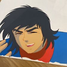 Anime cel danguard usato  Torino