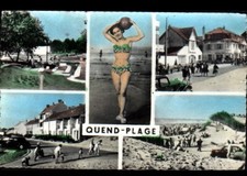 Quend plage pin d'occasion  Expédié en Belgium