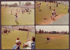 1978 red sox for sale  Clearwater