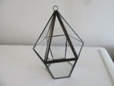 Terrarium plants glass for sale  ELY