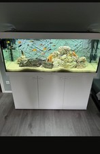 aquarium 80 liter gebraucht kaufen  Rellingen