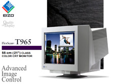 Eizo flexscan t965 gebraucht kaufen  Sasbachwalden