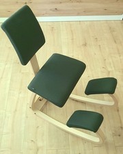 Varier variable plus gebraucht kaufen  Berlin