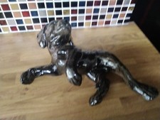 brown labrador puppy for sale  KING'S LYNN