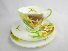 Shelley jonquil daffodil for sale  ULVERSTON