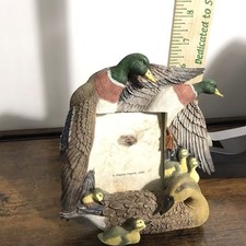Duck family picture for sale  Elk River