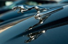 Leaping cat chrome for sale  DRIFFIELD
