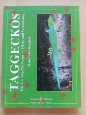 Taggeckos gattung phelsuma gebraucht kaufen  Alzenau