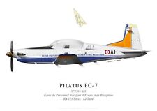 Print pilatus 578 usato  Spedire a Italy