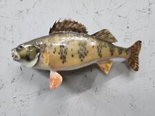 Nice yelllow perch for sale  Ironwood