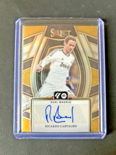 Panini select liga gebraucht kaufen  Lemgo