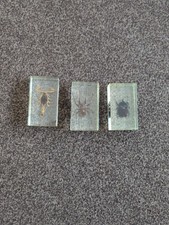 Insects bugs resin for sale  HORNCHURCH