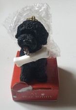 Best buddy labradoodle for sale  Four Corners