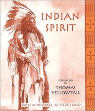 Indian spirit paperback for sale  Mishawaka