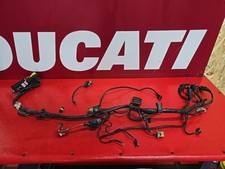 Impianto elettrico ducati usato  Porto Cesareo