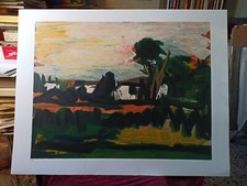Piero maggioni serigrafia usato  Fucecchio