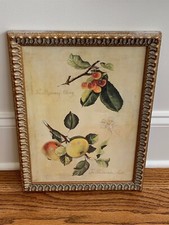 Print botanical hawthornden for sale  Canton