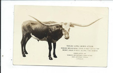 Real photo postcard for sale  Polo