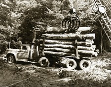 Logging chevy trucks for sale  Marquette
