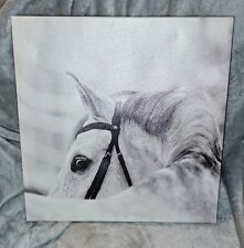 canvas horse picture for sale  Londonderry