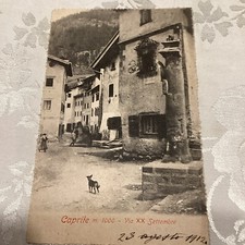 Vecchia cartolina caprile usato  Villanova del Ghebbo