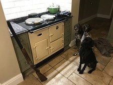 Esse range cooker for sale  DRIFFIELD
