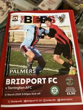 2024 bridport torrington for sale  DORCHESTER