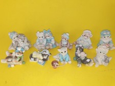 calico kittens for sale calico kittens for sale  HULL
