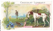 CAR-ADOP2-0129-CHROMOS - Chocolate Lombart - Braco comprar usado  Enviando para Brazil