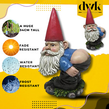 Naughty garden gnome for sale  HALSTEAD