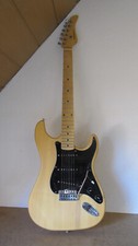 Elektrische gitarre strat gebraucht kaufen  Hamburg