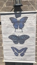 Butterfly wall hanging for sale  Kodak