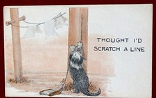 Cat scratches clothes for sale  DUMFRIES