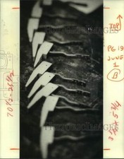1980 press photo for sale  Memphis