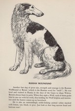 Borzoi russian custom for sale  Tampa