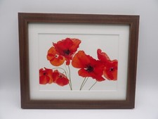 Photo nature flower for sale  Phoenix