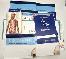 Medizin anatomie lernposter gebraucht kaufen  Ehrenkirchen