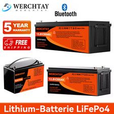 Lifepo4 lithium batterie gebraucht kaufen  Deutschland