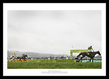 Denman kauto star for sale  FARNHAM